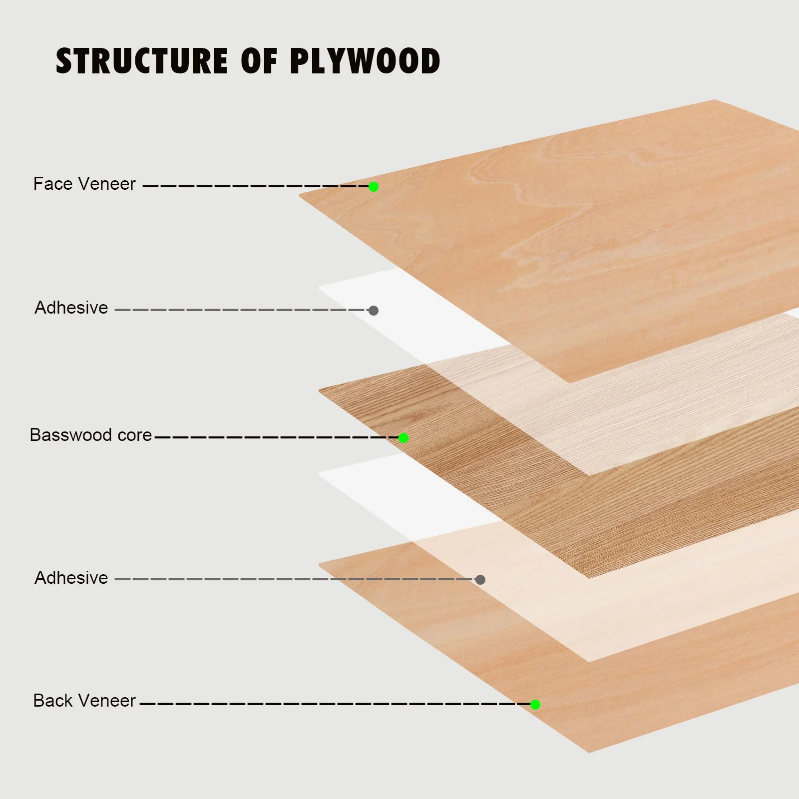 Monport Selected Basswood Plywood for Laser Engravers and Cutters DIY Crafting - Image 3